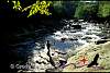 fly fish-3.jpg